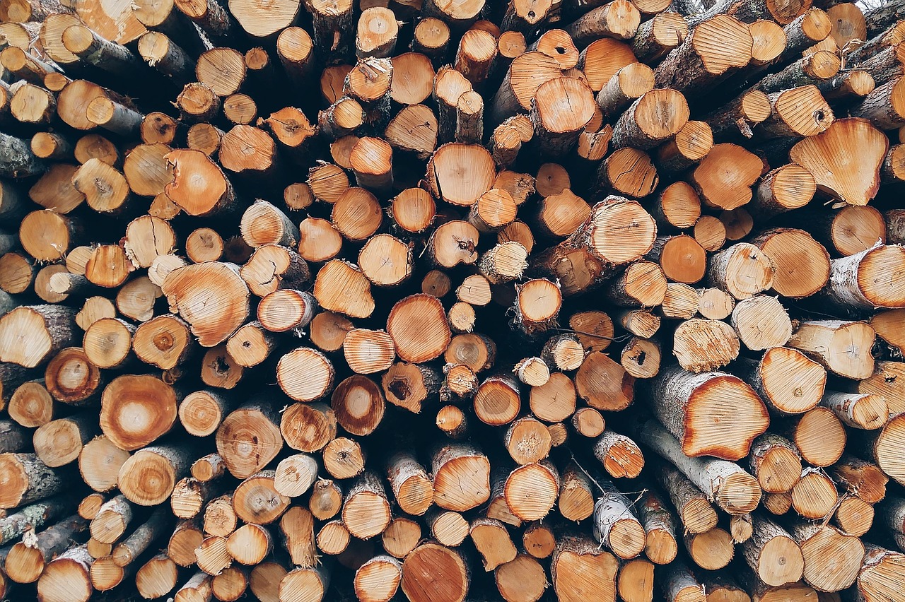 Träslag i Sverige - Kniv & Karda: verktyg, redskap och material för slöjd